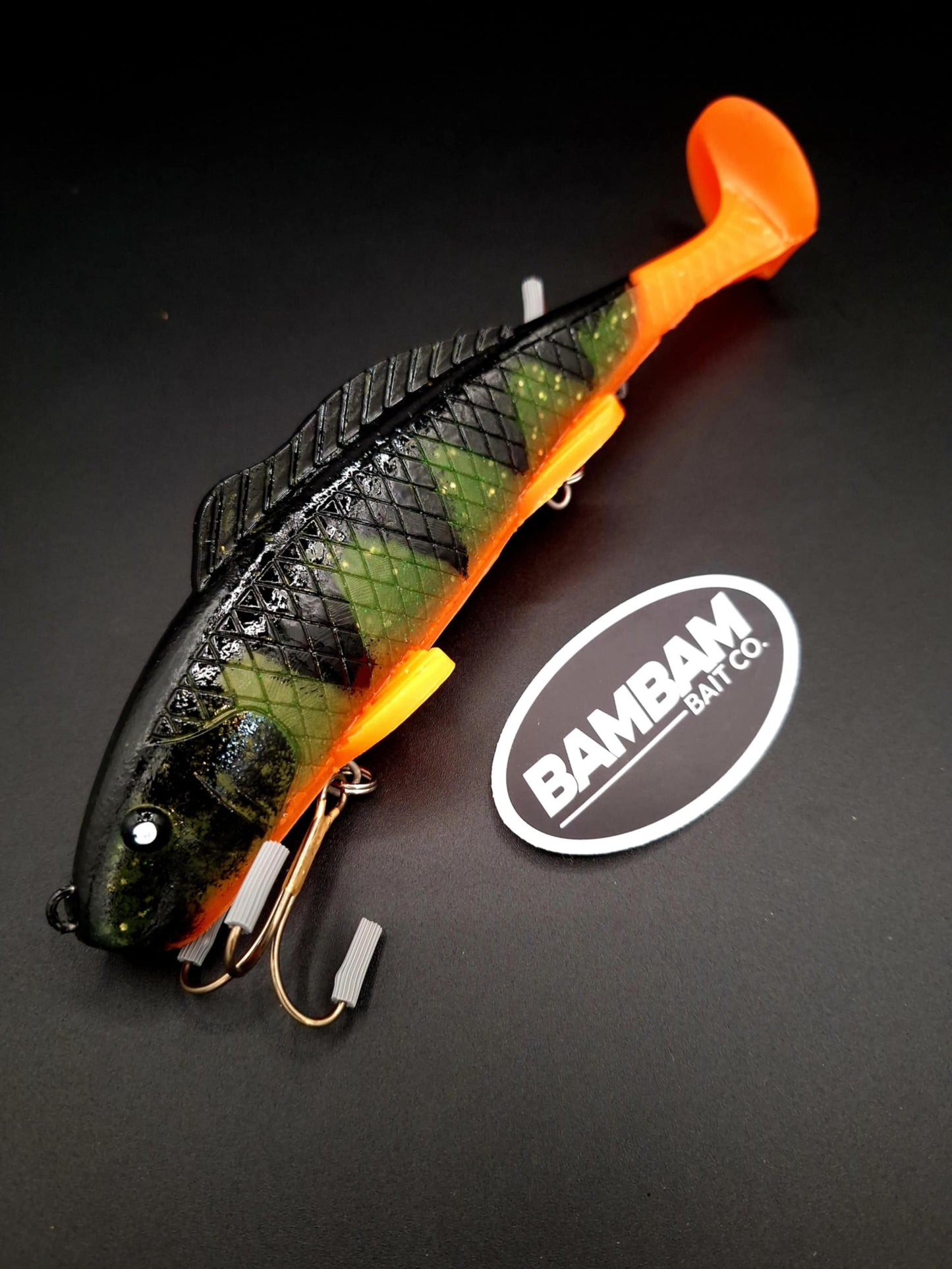 Swimfin (Painted Orange Belly Perch)