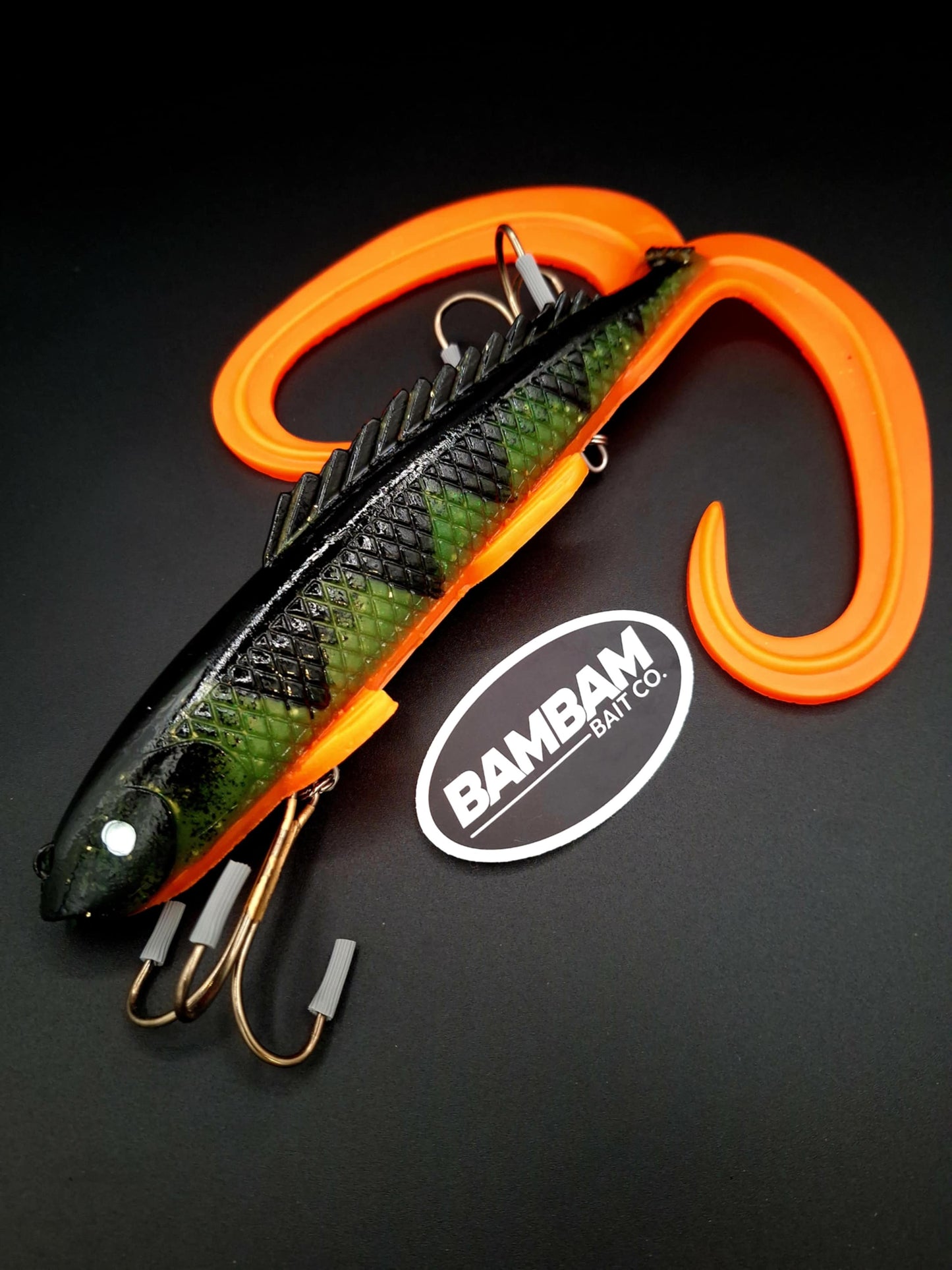 Bowfin Shallow (Painted Orange Belly Perch)