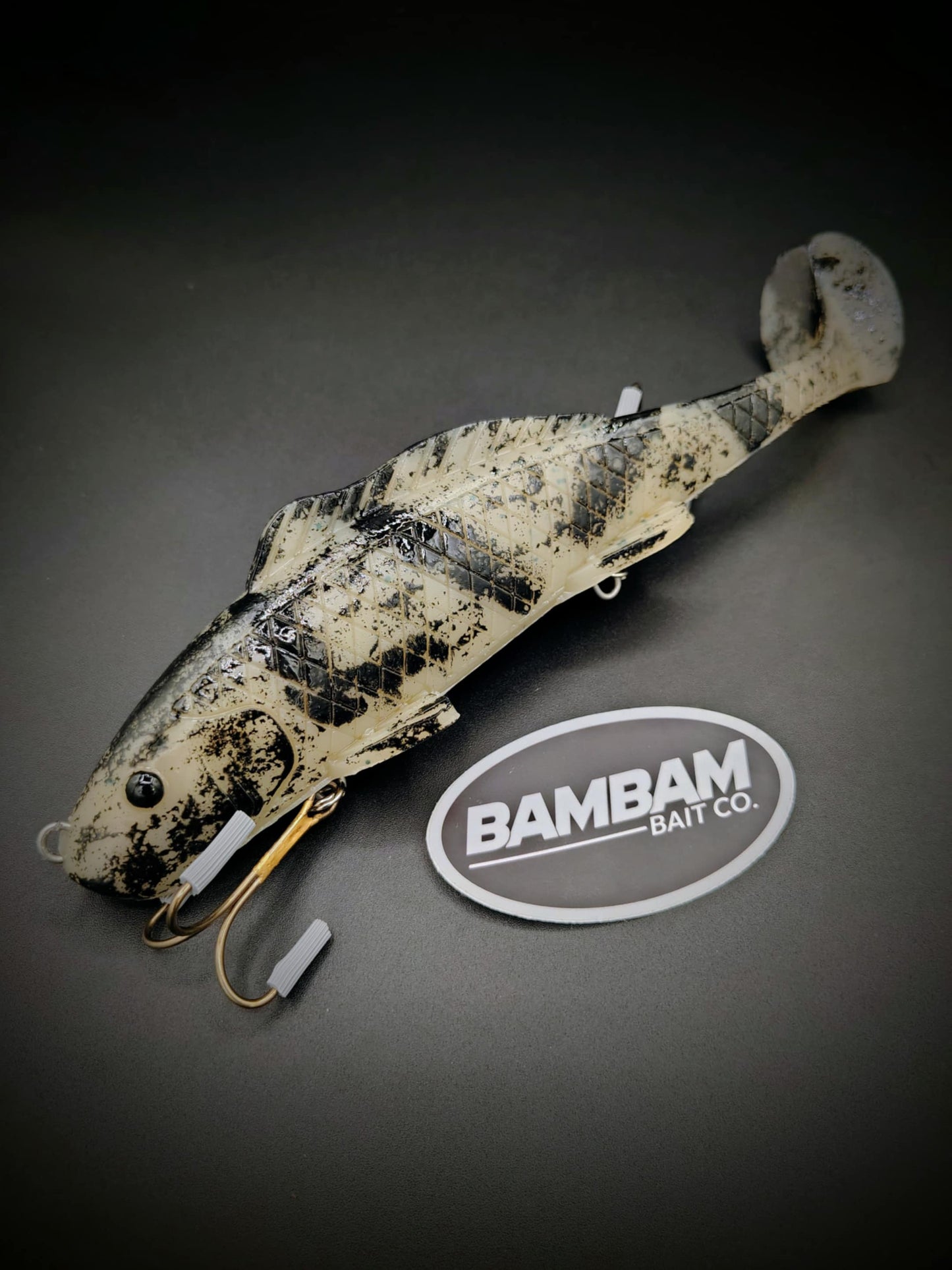 Swimfin (Painted Hog Nose Sucker)